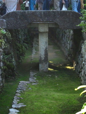 jpg b