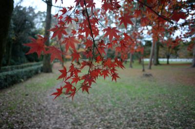 DSC_0947_400