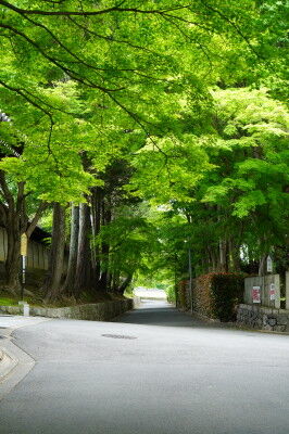 DSC04029_1