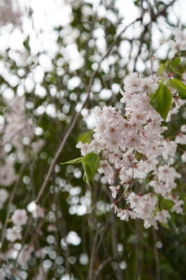 DSC04053