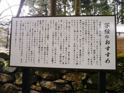 P1020776g