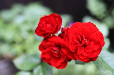 IMG_8173ss