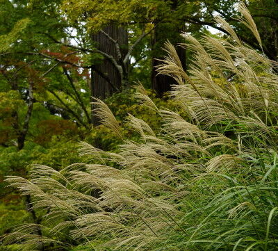 DSC06757s