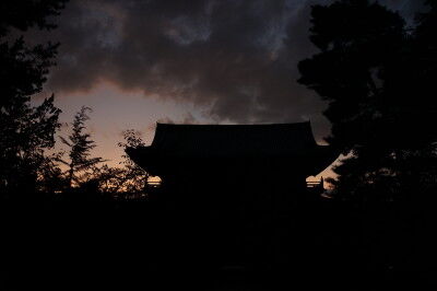 DSC00560