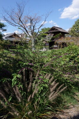 DSC01514a