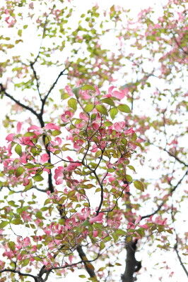 IMG_1043