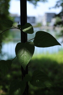 IMG_2797
