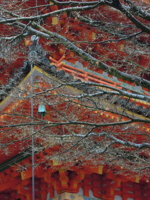 DSCN0982