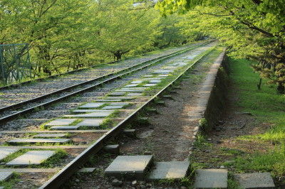 555A8467
