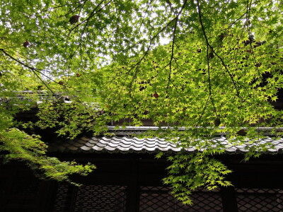 DSCN0118