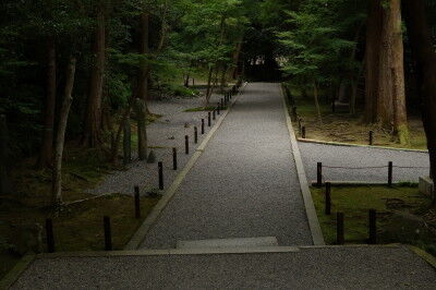 DSC00608