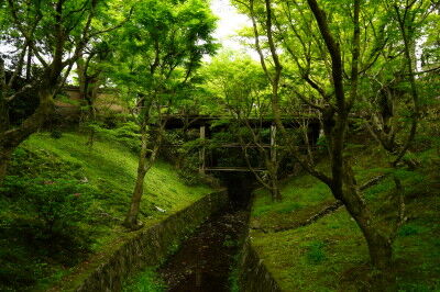 DSC04103_1
