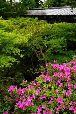 DSC04085_1