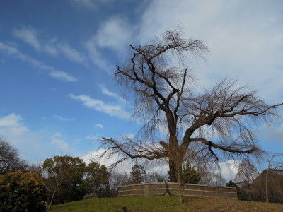 DSCN5759