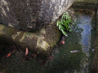 DSCN0232