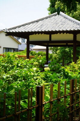 DSC01350