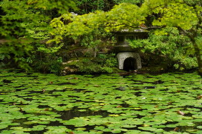 DSC06598