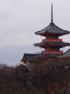 DSCN1174