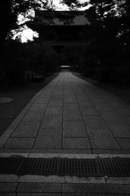 DSC00547