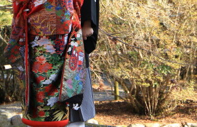 555A4886 b_1 - コピー - コピー