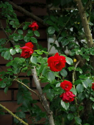 P6020185