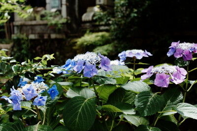 R0000866 v_1