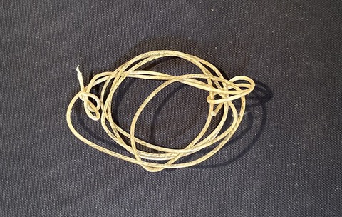 鑑賞クラスの様子1（9月20日)