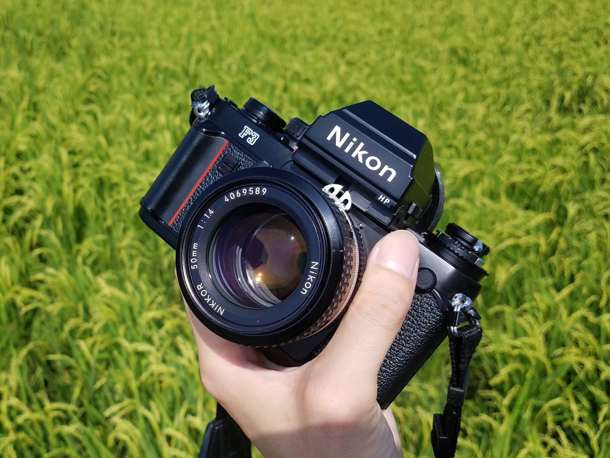 Nikon F3で撮った写真 : 野鳥とキノコ(カメラと工作) Nikon F3で撮った写真 : 野鳥とキノコ(カメラと工作)