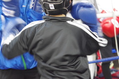 IMGP1681