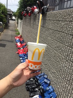 2017-06-26-12-33-56