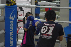 IMGP2838