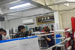 IMGP5881