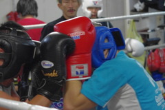 IMGP2318