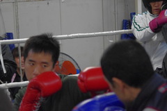 IMGP2341
