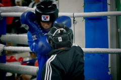 IMGP1687