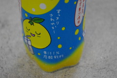 IMGP1485