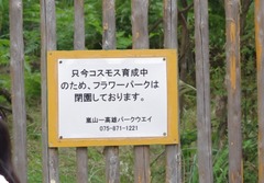 IMGP5741