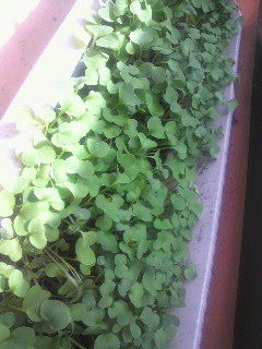 2011062311100000