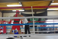 IMGP9398