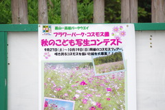 IMGP5734