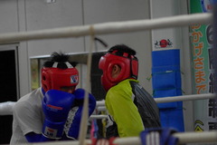 IMGP2979