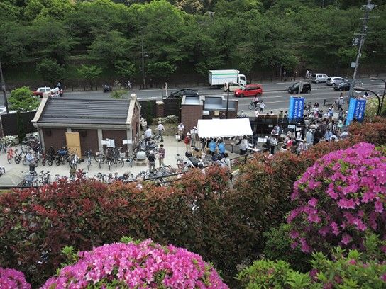 蹴上浄水場一般公開15 蹴上のつつじ 雪丸の京都散歩2