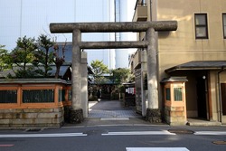 fumi-torii