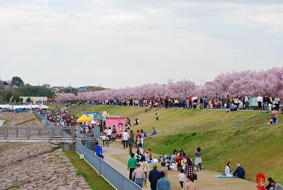 狭山池祭り 知音の旅人