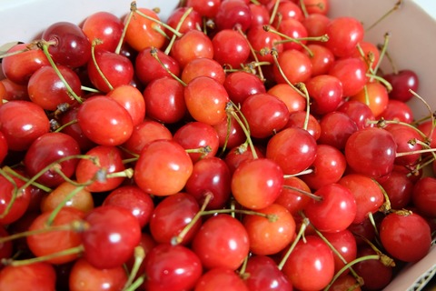 DSCF4289