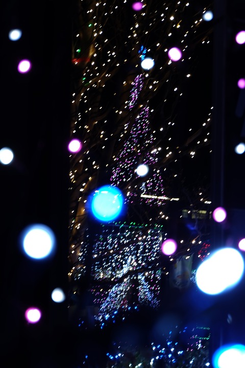 DSCF1603