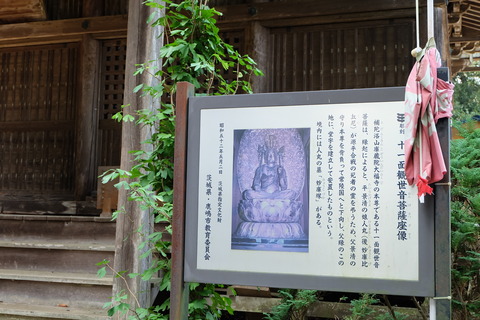 十一面