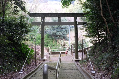 DSCF8321