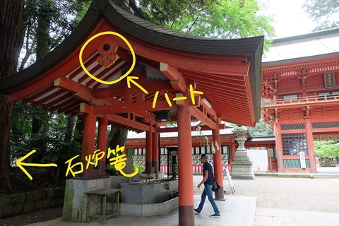 66394143_620396568472285_973036016413704192_n