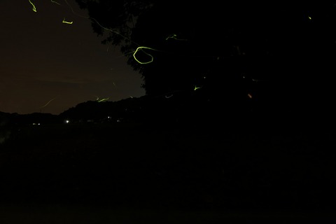 IMG_20190602_223549_492